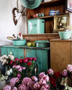 White Cottage Flower Farm | Tenterfield True