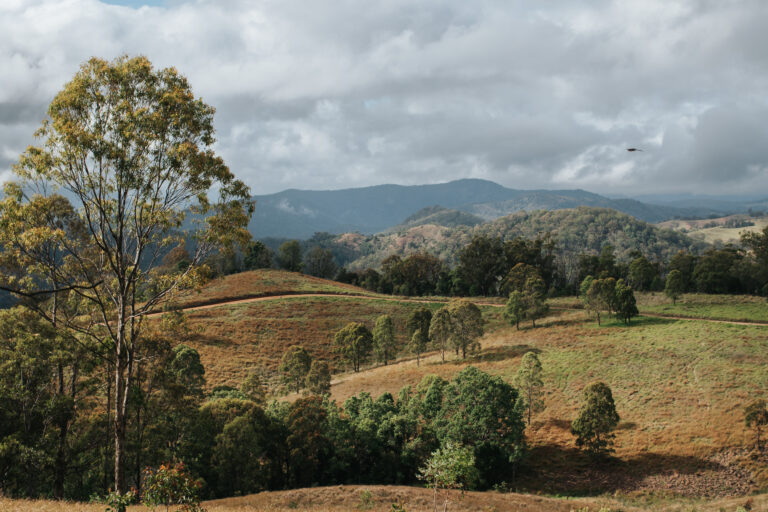 Jambi Jambi Tenterfield Cycling Routes 9002(1)