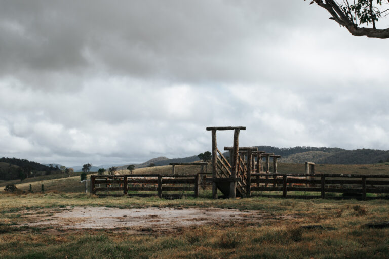 Jambi Jambi Tenterfield Cycling Routes 9006